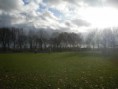 /album/fotogallerij/a29-jpg/
